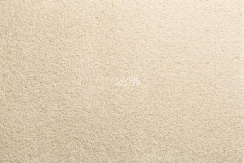 Ковролин Condor Imperial 69 фото 1 | FLOORDEALER